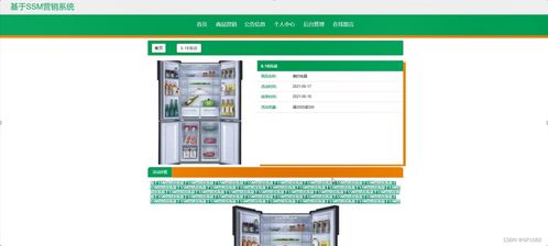 SSM营销系统计算机毕业设计问题的解决方案与方法